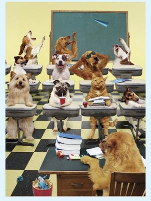 ma classe